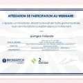 Ingrandire l'immagine: certificate 7