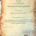 Ingrandire l'immagine: certificate 8