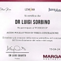 Ingrandire l'immagine: certificate 1