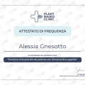 Ingrandire l'immagine: certificate 1