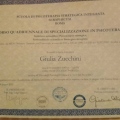 Ingrandire l'immagine: certificate 1