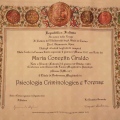 Ingrandire l'immagine: certificate 1