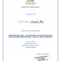 Ingrandire l'immagine: certificate 3