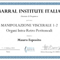 Ingrandire l'immagine: certificate 7