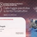 Ingrandire l'immagine: certificate 1