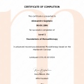 Ingrandire l'immagine: certificate 1