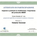 Ingrandire l'immagine: certificate 9