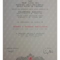 Ingrandire l'immagine: certificate 1