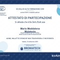 Ingrandire l'immagine: certificate 8