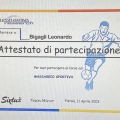 Ingrandire l'immagine: certificate 7