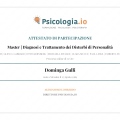 Ingrandire l'immagine: certificate 1