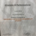Ingrandire l'immagine: certificate 6