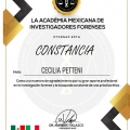Ingrandire l'immagine: certificate 4