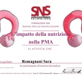 Ingrandire l'immagine: certificate 1