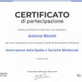 Ingrandire l'immagine: certificate 9