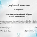 Ingrandire l'immagine: certificate 3