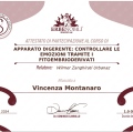 Ingrandire l'immagine: certificate 6
