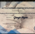 Ingrandire l'immagine: certificate 2
