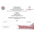 Ingrandire l'immagine: certificate 1