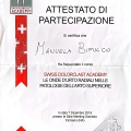 Ingrandire l'immagine: certificate 2