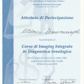 Ingrandire l'immagine: certificate 3
