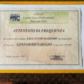 Ingrandire l'immagine: certificate 5