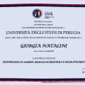 Ingrandire l'immagine: certificate 1