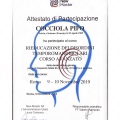 Ingrandire l'immagine: certificate 8
