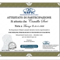 Ingrandire l'immagine: certificate 1