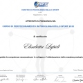 Ingrandire l'immagine: certificate 4