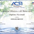Ingrandire l'immagine: certificate 4