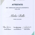 Ingrandire l'immagine: certificate 7