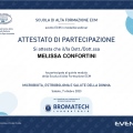 Ingrandire l'immagine: certificate 8
