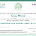 Ingrandire l'immagine: certificate 24