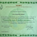 Ingrandire l'immagine: certificate 7