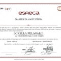 Ingrandire l'immagine: certificate 7
