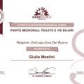 Ingrandire l'immagine: certificate 27