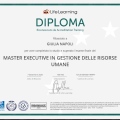 Ingrandire l'immagine: certificate 9
