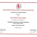 Ingrandire l'immagine: certificate 4
