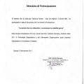 Ingrandire l'immagine: certificate 3