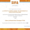 Ingrandire l'immagine: certificate 22