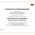 Ingrandire l'immagine: certificate 1