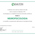 Ingrandire l'immagine: certificate 1