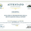 Ingrandire l'immagine: certificate 3