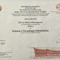 Ingrandire l'immagine: certificate 1