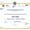 Ingrandire l'immagine: certificate 19