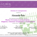 Ingrandire l'immagine: certificate 1