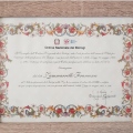 Ingrandire l'immagine: certificate 7