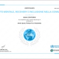 Ingrandire l'immagine: certificate 1