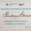 Ingrandire l'immagine: certificate 2